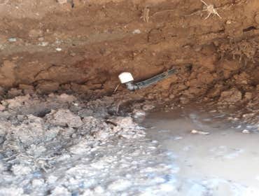 Photos by Summer Sprinklers & Repair #1