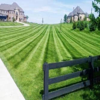 Going Yard Lawn & Landscape