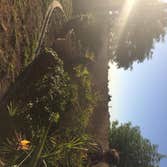 Photo(s) from JBL Finishes Examples of our painting, carpentry, and repair work in various areas of San Diego County including Ocean Beach, Pacific Bea