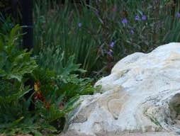 Water Features For installing pools or spas, we’re equipped to complete the entire process for seamless integration with the rest of your landscape.