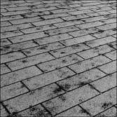 Photos by Lubbock Roof Repair #1