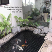 Photos from Aqua Net