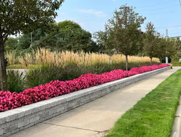 Photos by Agripro Landscape Management #1