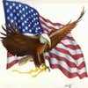 American Construction Landscaping and Maintenance logo