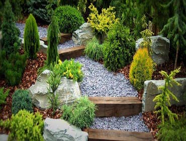 Photos from Mfp Landscaping Inc