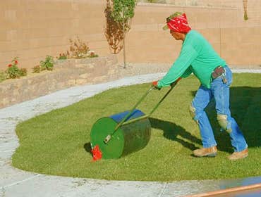 Sod Installation