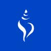 Desanctis Homes, LLC logo