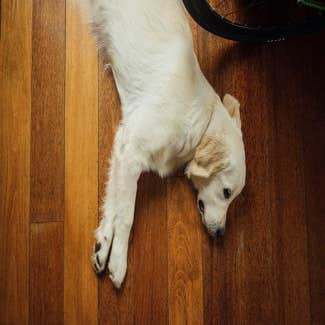 M Luca Flooring, LLC