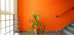 Photo(s) from Pinon Painting, LLC