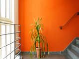 Photo(s) from Pinon Painting, LLC