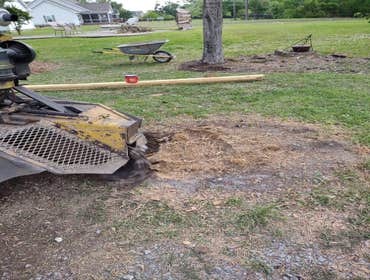 Photos by Scott's Stump Grinding and Tree Service #1