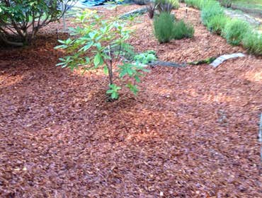 Photos by Alex's Gardening Services #2