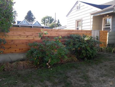 New cedar fence / sealed