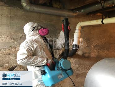 Photos by Fdp Mold Remediation of Bowie #2