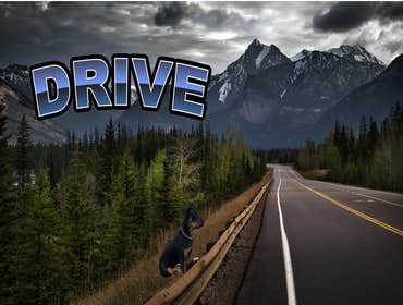 Photos by Drive Construction #2