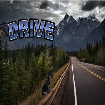 Photos by Drive Construction #2