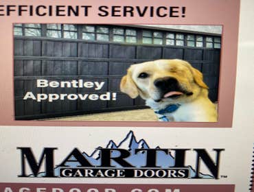 Photos by Martin Garage Doors #1
