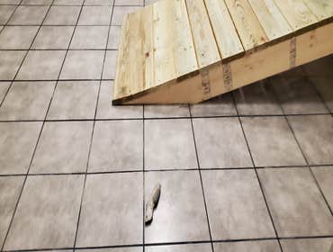 Photos by Dayshawn Construction Company #1