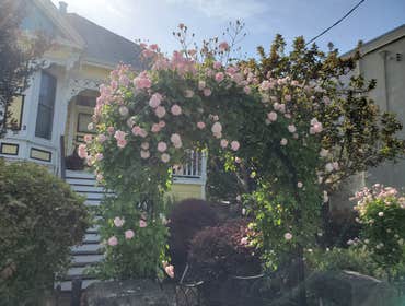 Photos by Tuyub Landscaping #27