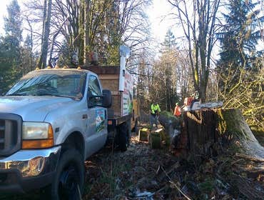 Photos by Get Er Down Tree Service #1