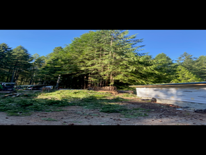 Photos by Sturdy Tree Solutions LLC #1