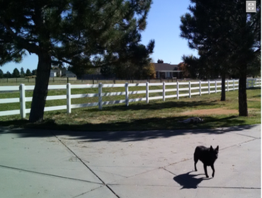 Fences