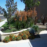 Carlsbad landscaping project