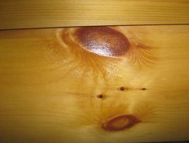 SOLID KNOTTY PINE SIDING
