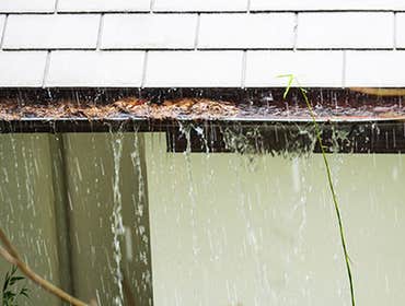 Photos by Blue Rain Roofing #1