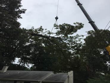 Photo(s) from Bonilla Tree Service Inc