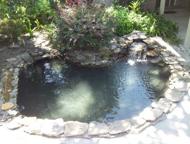 Koi Pond