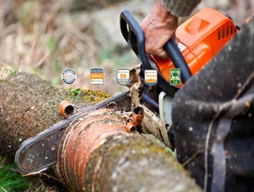 Photos from JL Tree Services Tree Service, Tree Removal, Tree Pruning, & Stump Grinding across Dallas and surrounding areas.