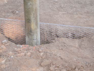 Fence Enclosure for Rescued Cats 850' of 6' high 2" x 4" fence with 5 gates. Project includes underground gopher wire along fence line to prevent coyo