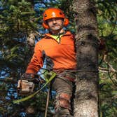 Above All Trees LLC