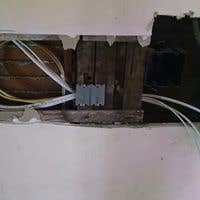 Photos from Turtenwald Enterprises