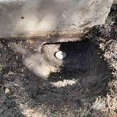 Photos by Authority Foundation Repair LLC #1