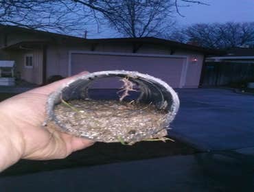 Section of pipe full of dirt