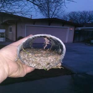Section of pipe full of dirt