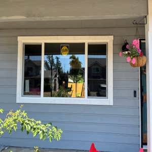 Window replacement