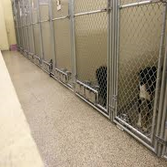 Commercial - Kennels