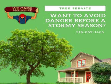 We Care Tree Services Looking for complete tree service. From tree removal to land clearing – We Care Tree Service can handle all of your tree service 