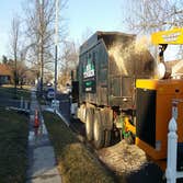 tree and stump removal projects