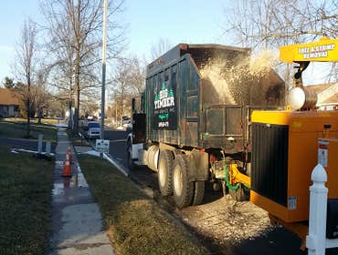 tree and stump removal projects