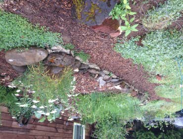 Photos from Earth Ecology LLC