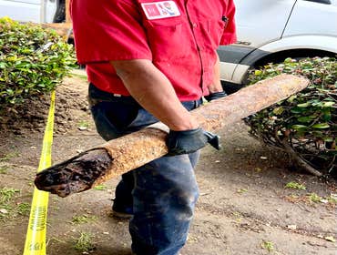 Photos by Red Hat plumbing #1