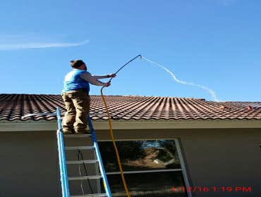 Photos from Popa Construction LLC Before & Afters of a soft wash roof cleaning and driveway and side walk cleaning.