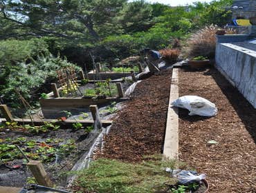 Landscaping
