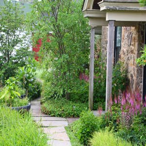 Donald Pell Gardens Studio The overall program for the Pennsylvania Studio Garden was to create a dynamic composition of herbaceous plants and to...