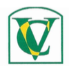 Vizcon Construction logo