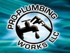 Photos by the Drain Pros #1